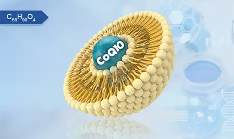 Liposomal CoQ10 vs Traditional CoQ10: Which Should You Choose?